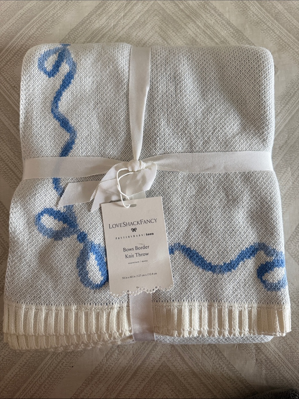LoveShackFancy Pottery Barn Teen Bows Border Knit Blanket Blue White 50x60